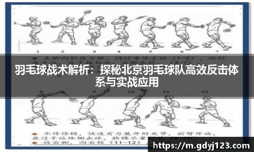 QY球友会体育
