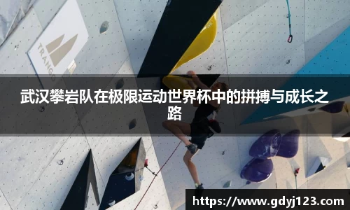 QY球友会体育